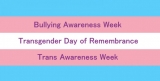 Bullying and Trans Awareness Week, TDOR and how schools can help